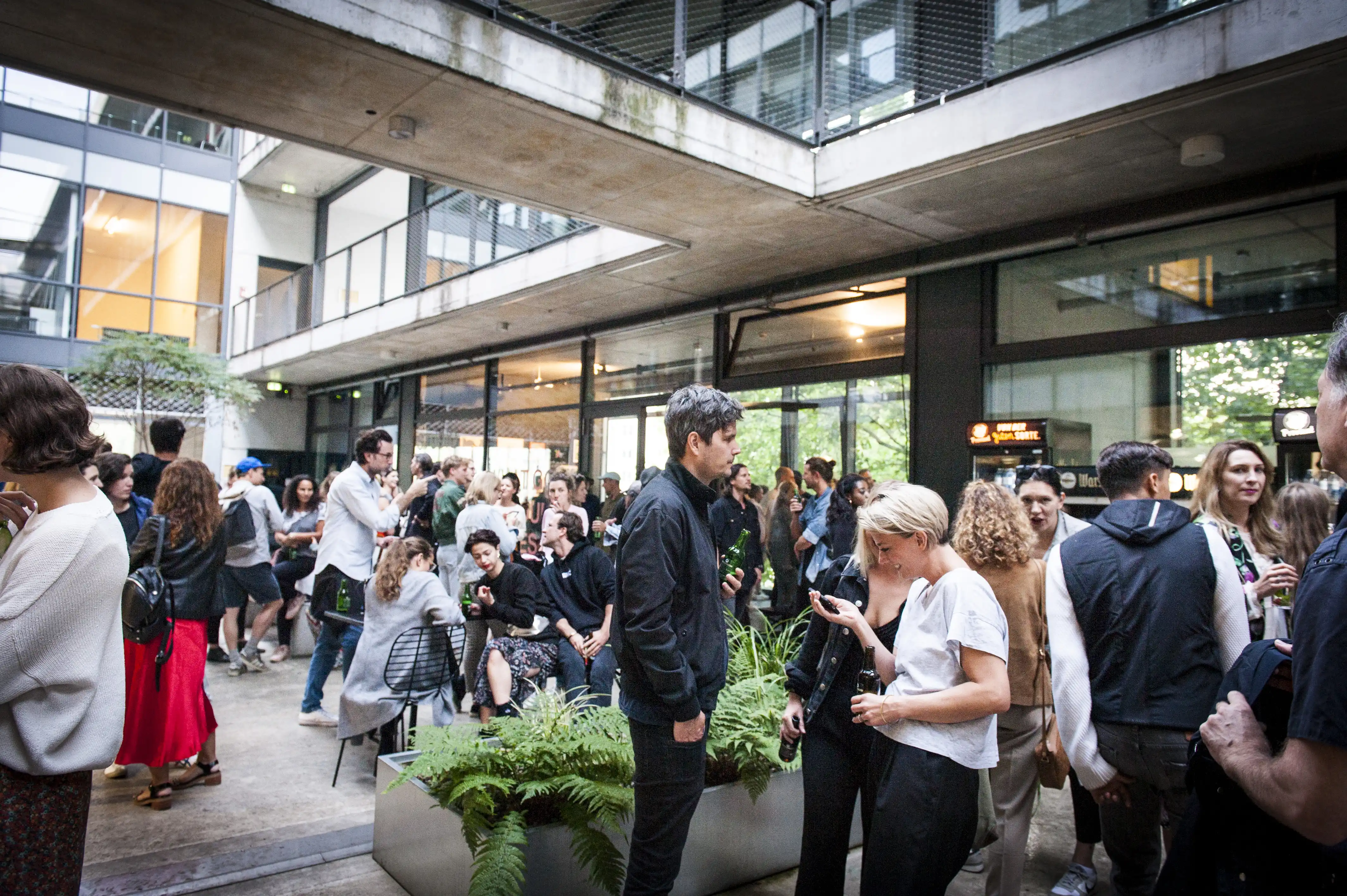 Guests mingling with drinks in the concrete courtyard outside the STUDIOLO exhibition, with planted ferns in the foreground.
