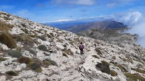 Activity Image