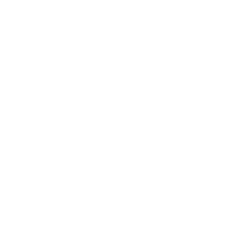 Logo Design Project for a Client