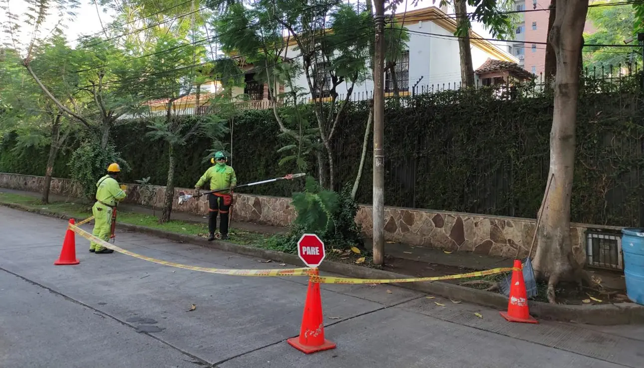 Aso Oeste - Medio Ambiente Cali