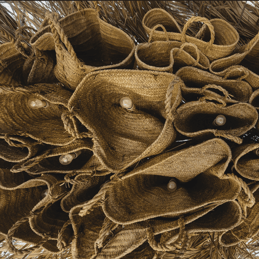 Features image 