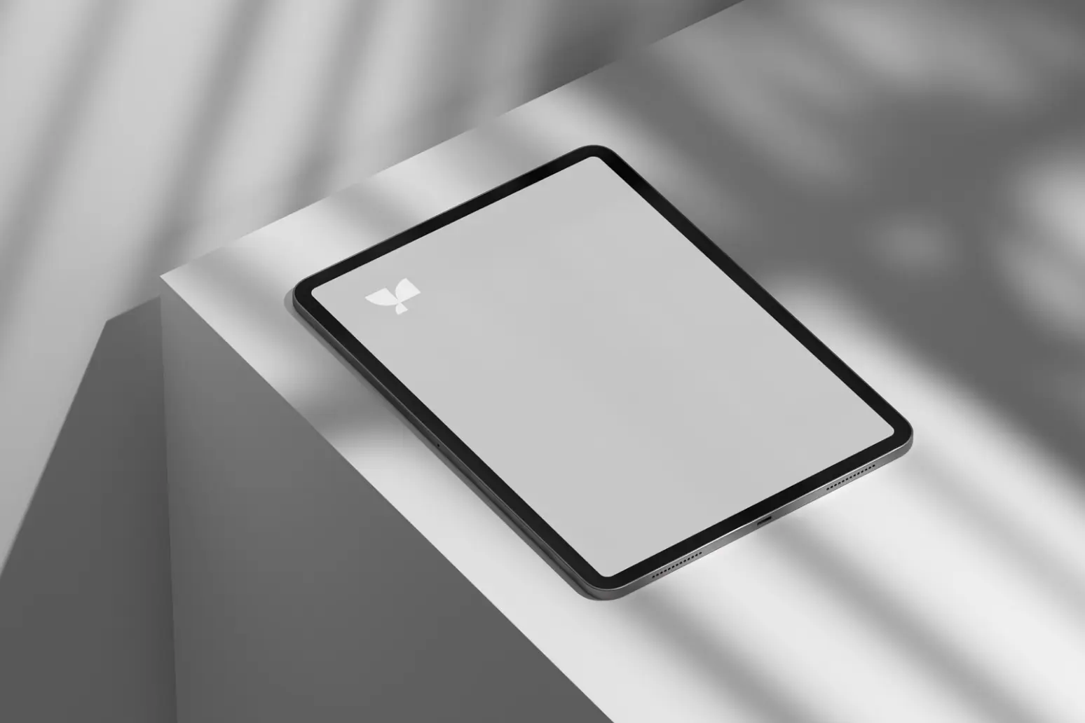 iPad mockup