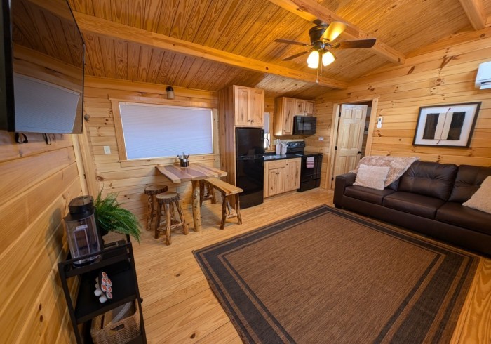 Fir 2-Bedroom Cabin — living area
