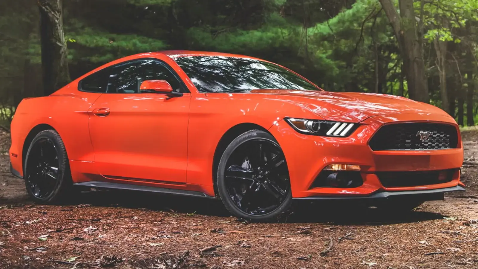 Ford Mustang EcoBoost&nbsp;