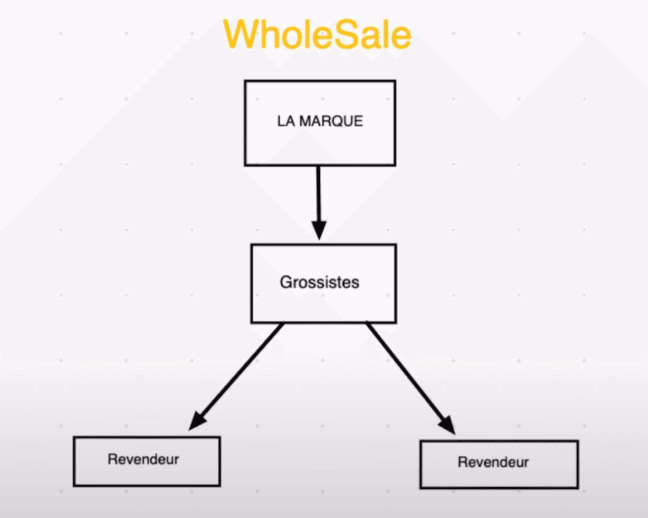 Le business model : Wholesale