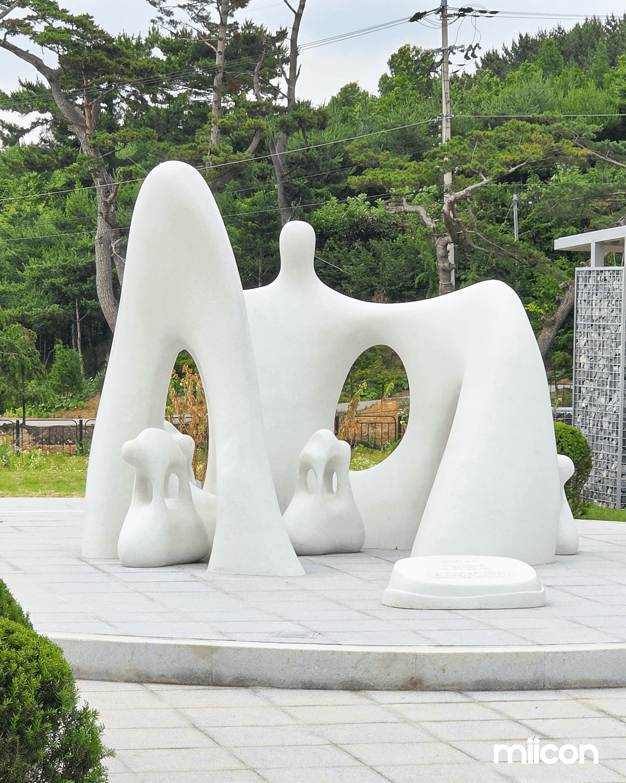Black-and-white macro of a dandelion seed head on white—delicate botanical detail.