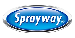 Everett’s Trusted Car Detailing Experts