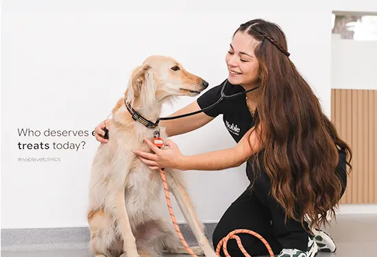 Dr. Lidija Krvavac crouching to greet an apricot poodle in a bright clinic hallway.