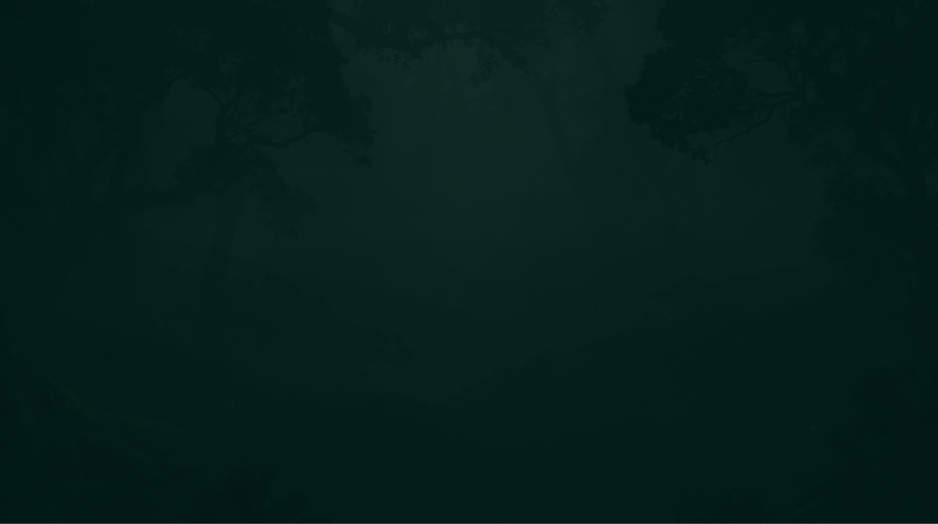 BG Image