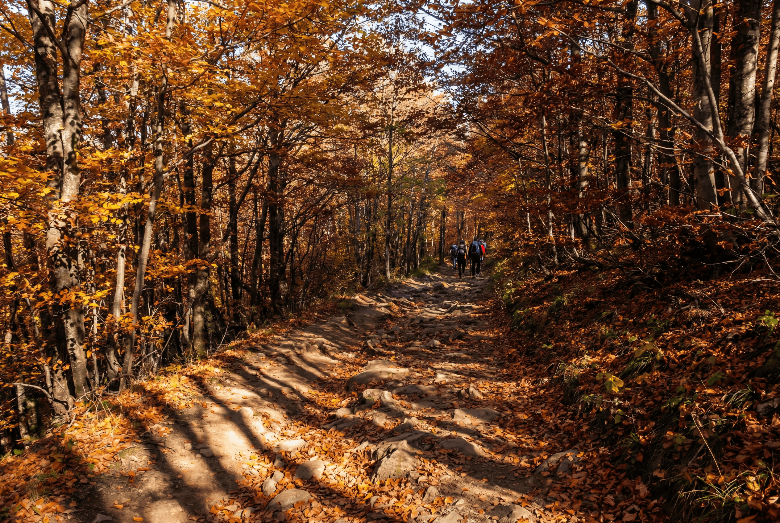 Hiking to Vitosha Mountain