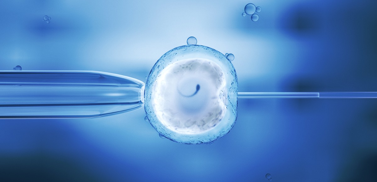 in vitro