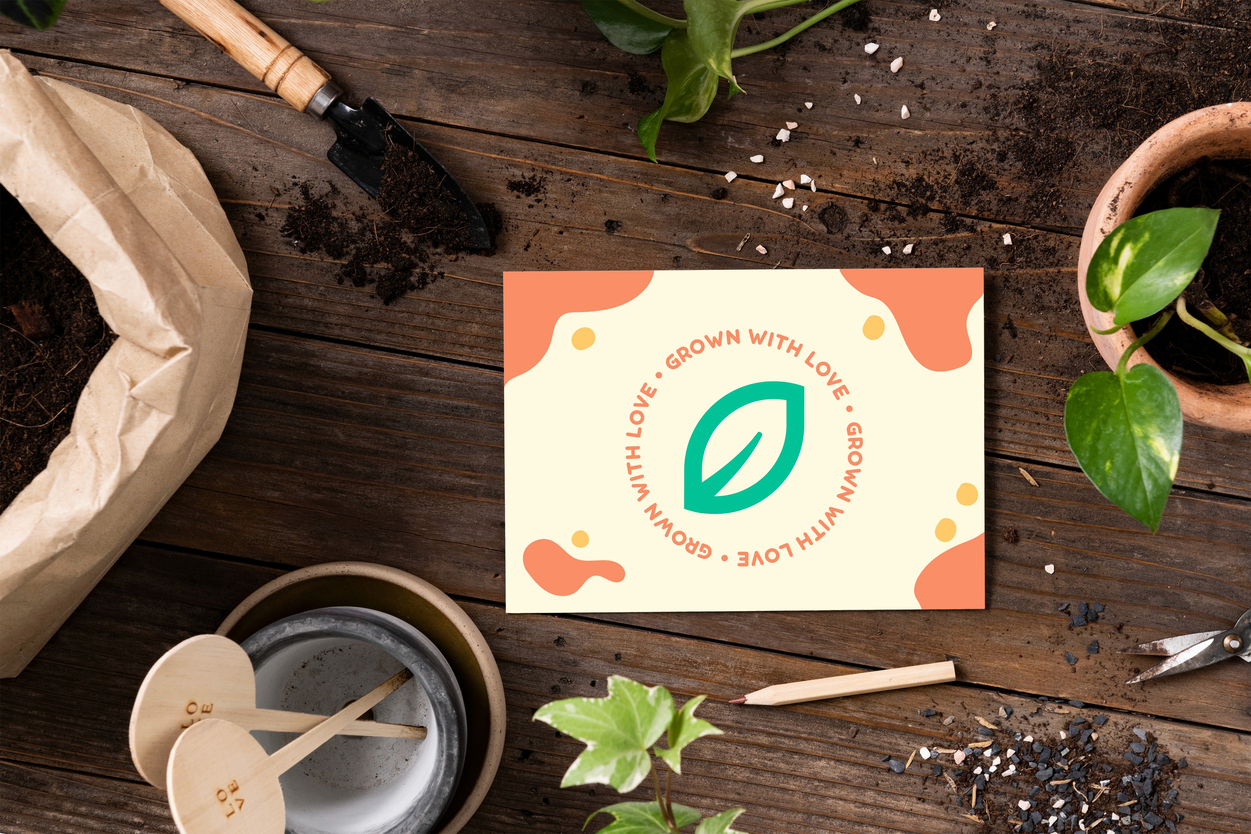 plant care card
