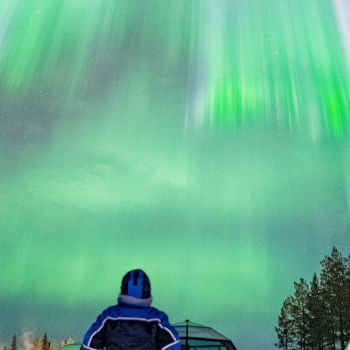 Aurora portrait