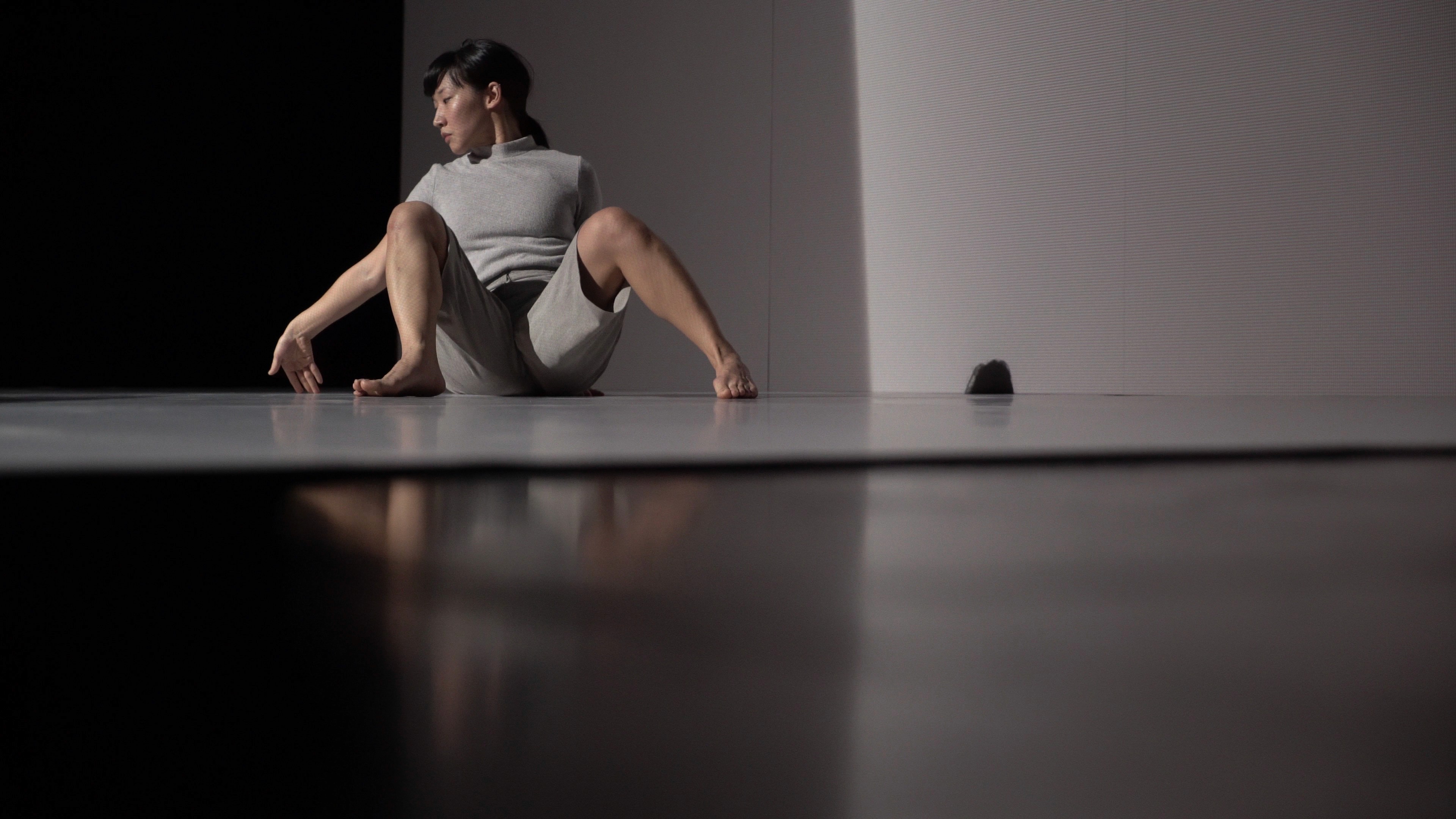 Spektrum - augmented performance installation