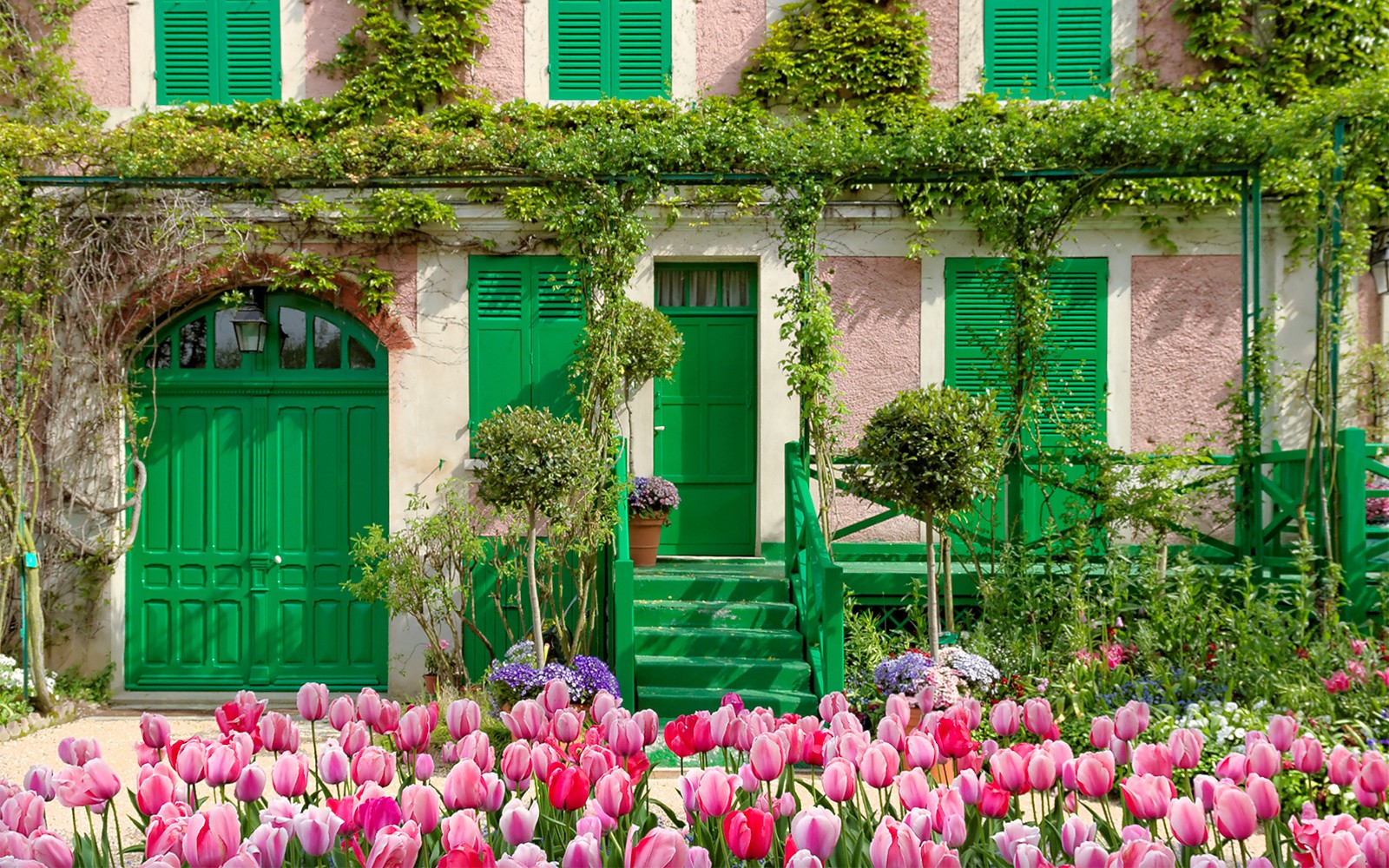 La Casa de Monet con tulipanes rosados en Giverny, Francia, en un tour de medio día desde París.