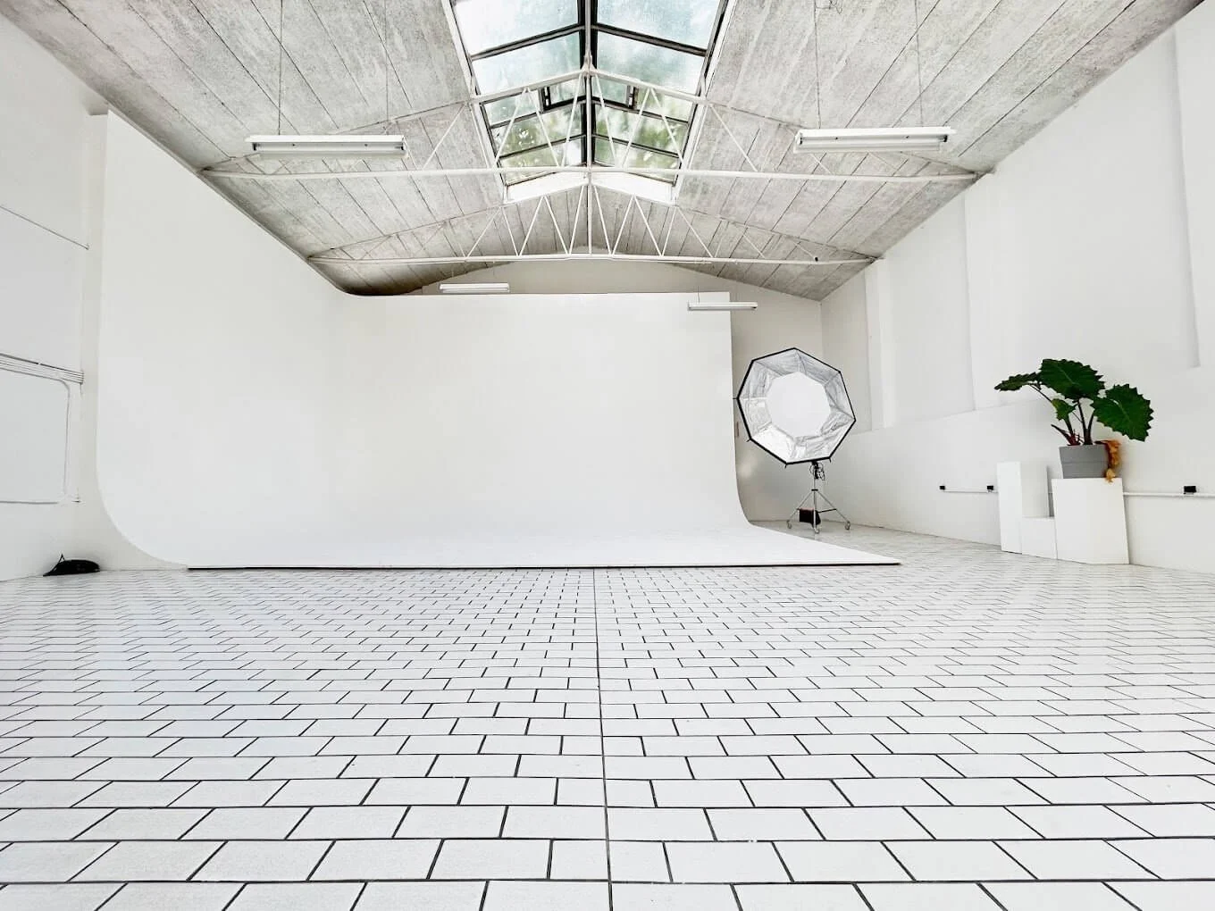 Studio Bilk — Hohlkehle und Tageslicht