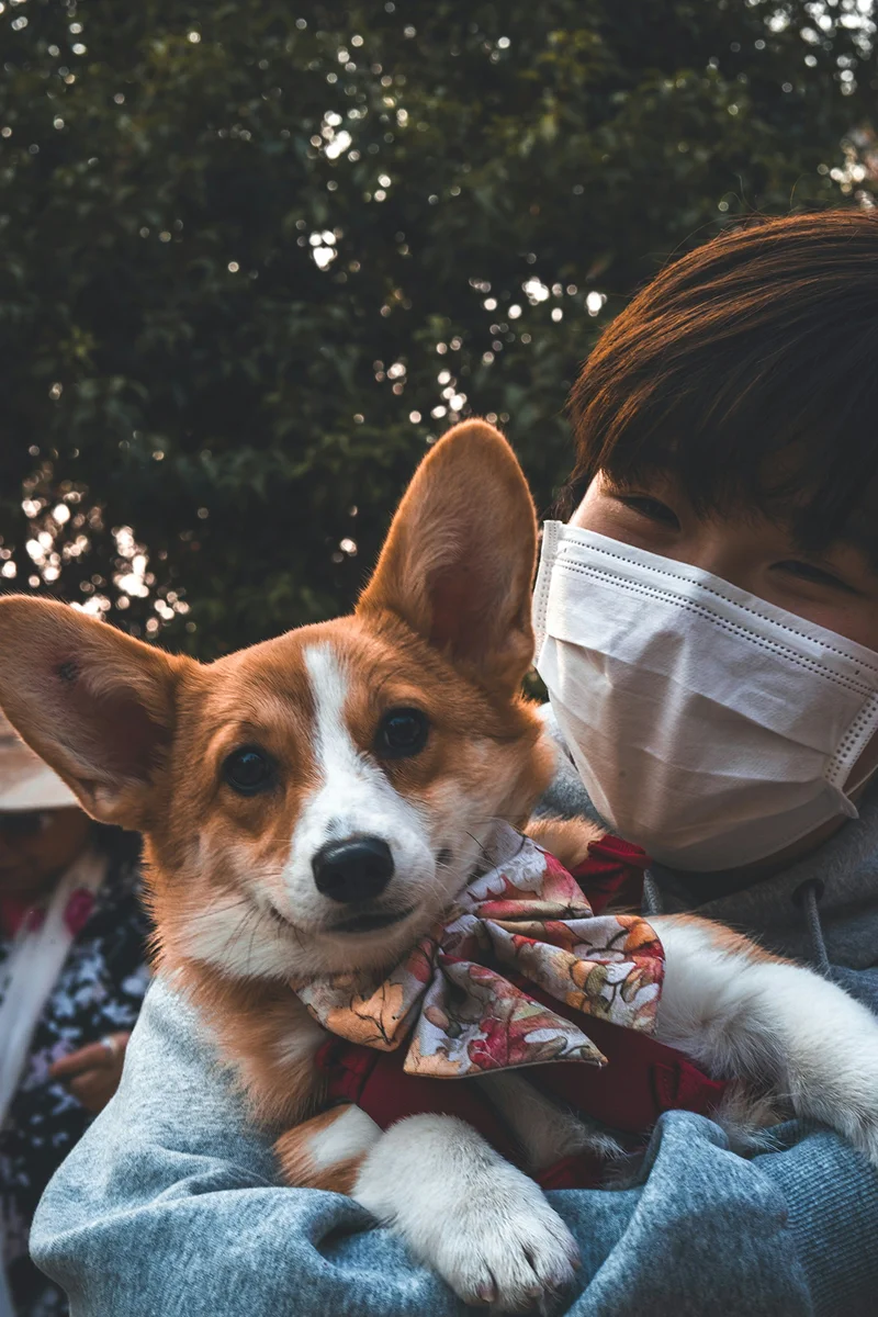 Customer wearing a face mask holding a small tan-and-white dog outdoors