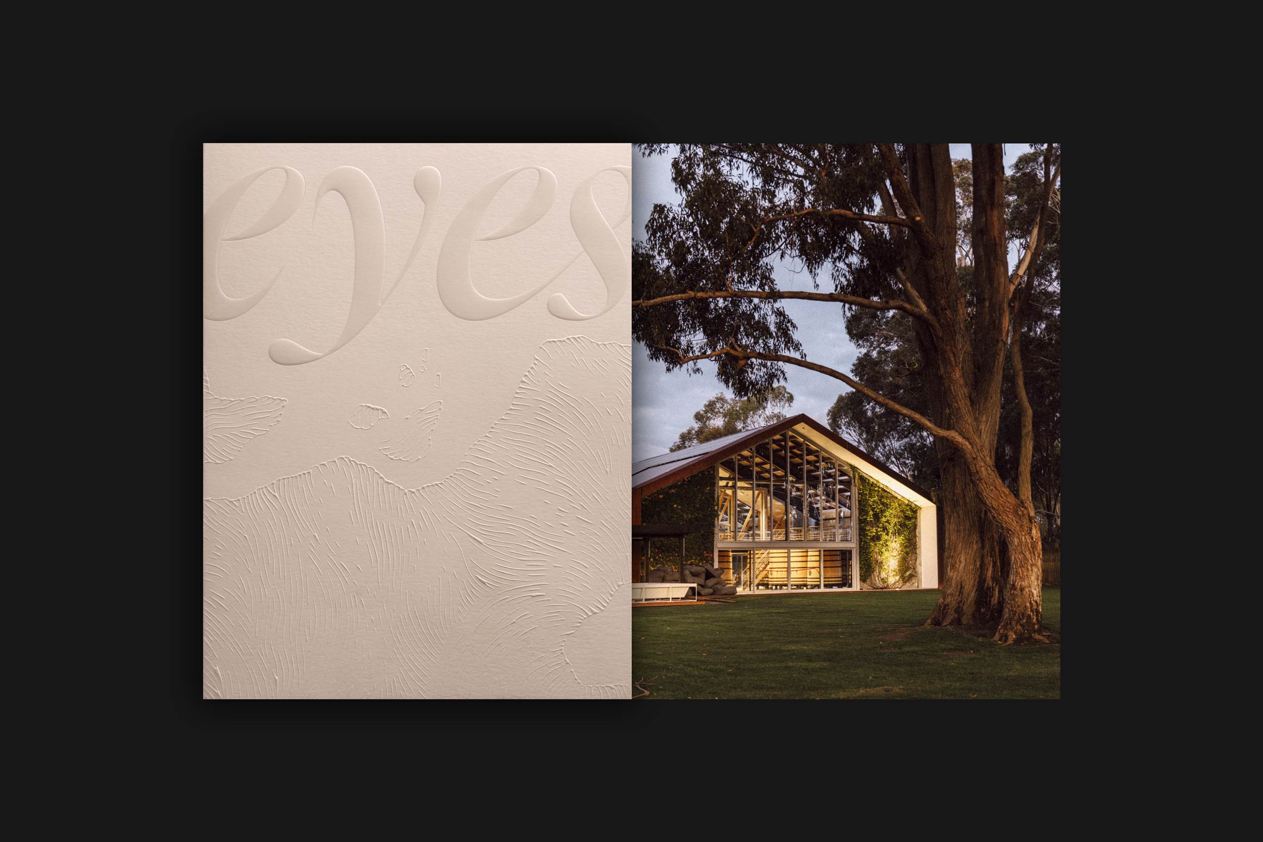 Cover Eyes Magazine Good Pick Fund Cloudy Bay