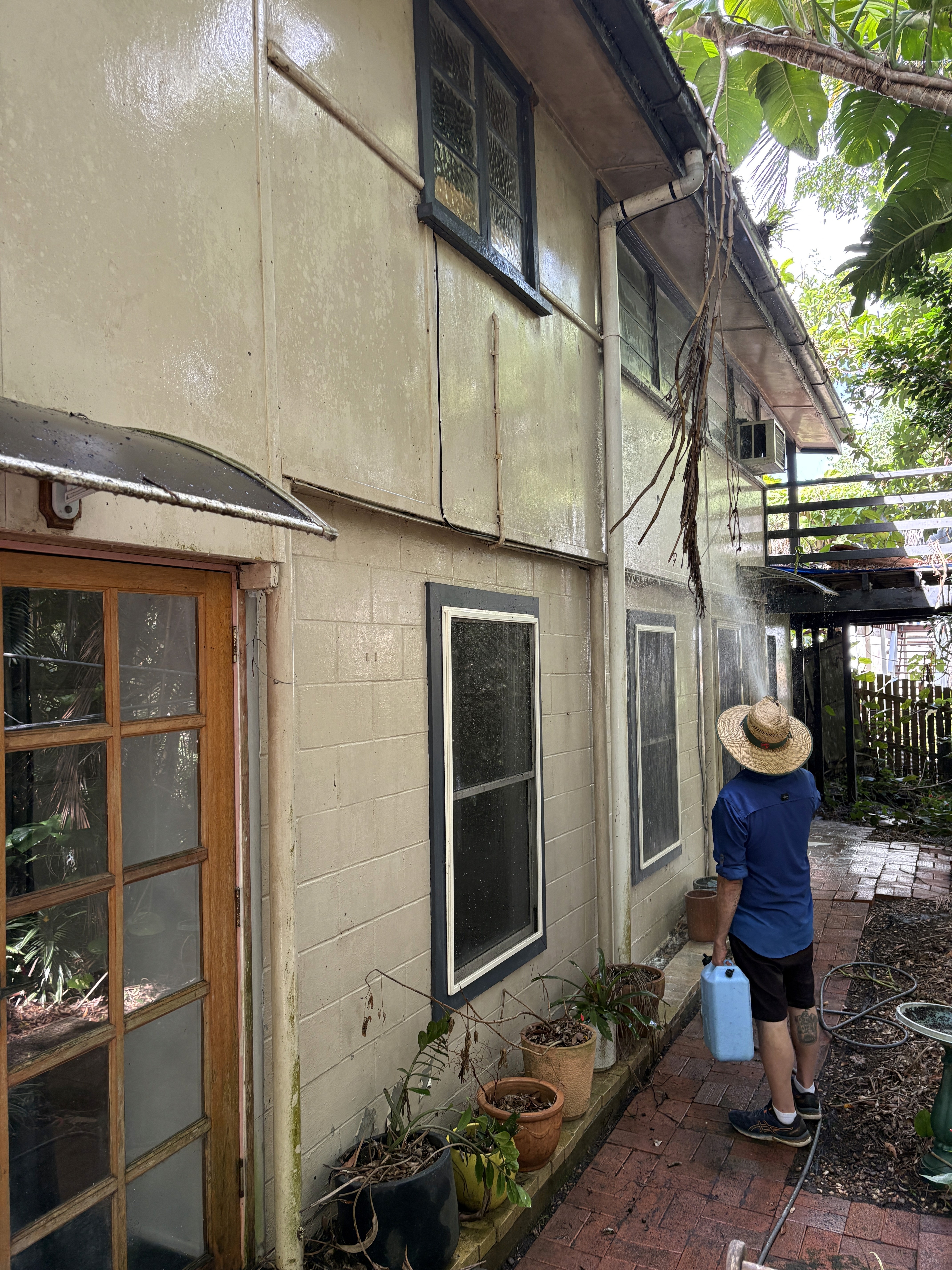 BlastBoy giving a professional house wash in Palmwoods.