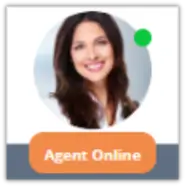 customer support agent profile