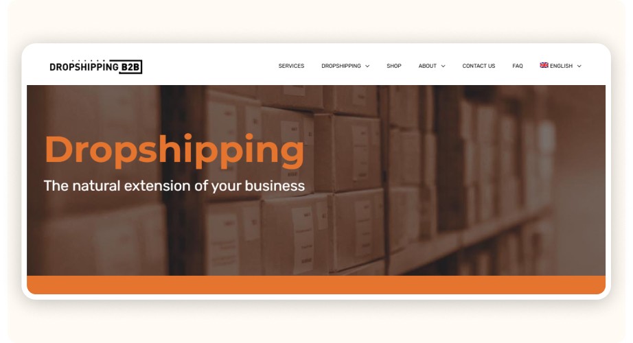 DropshippingB2B website