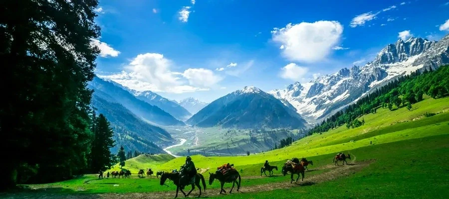 Alpine meadow horse riders