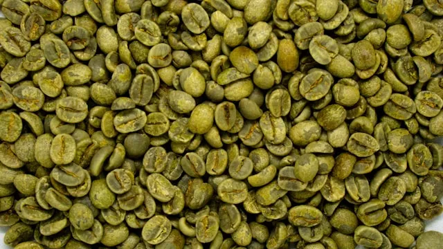Green unroasted coffee beans spread in a pile