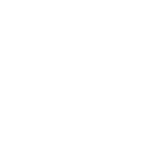 White icon for SEO services