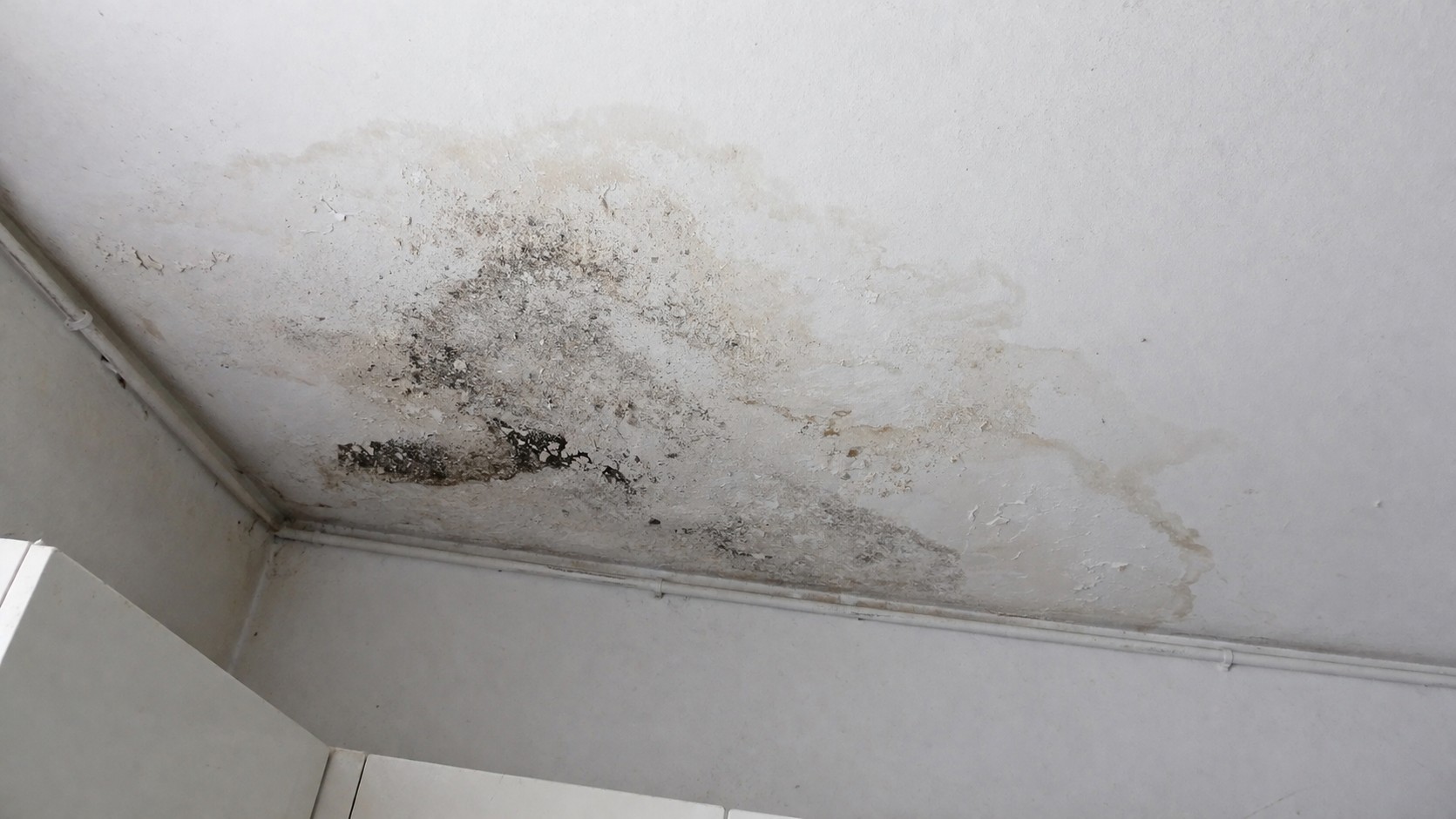 Tache d’humidité au plafond sous toit avec traces noires de moisissure et auréoles liées à une infiltration d’eau
