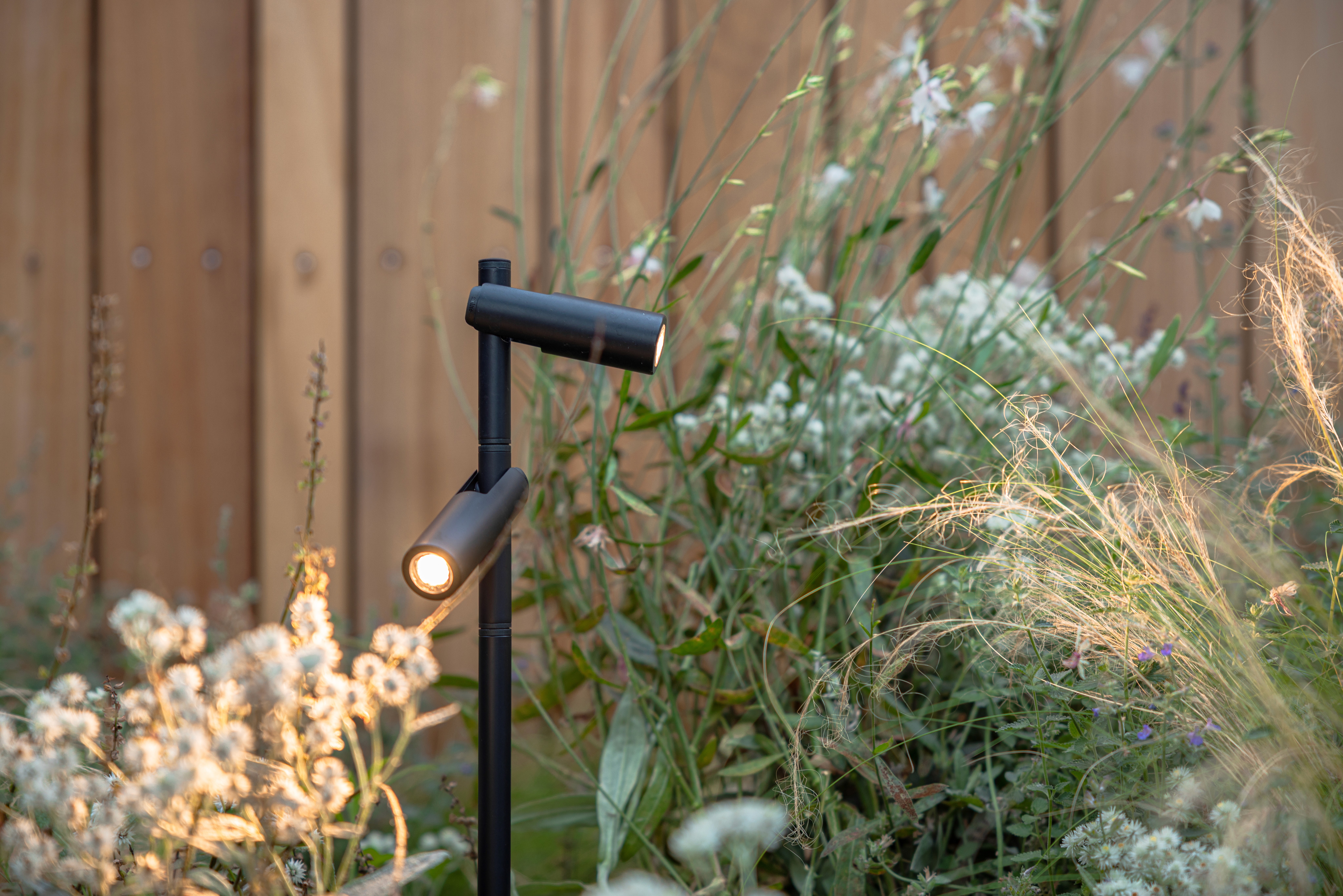 Here comes the alt text