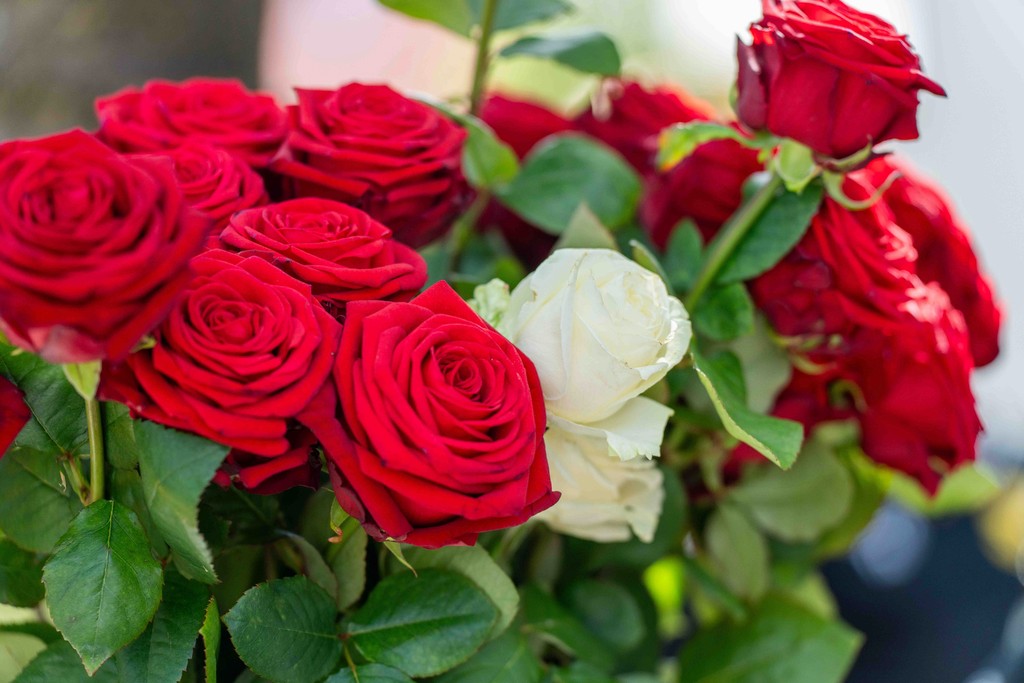 Detail Foto Hochzeit