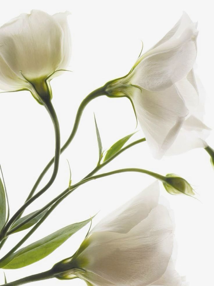 Minimalist black quadcopter drone suspended in a gallery-like space, with hanging cylindrical light elements and a monochrome gray background.