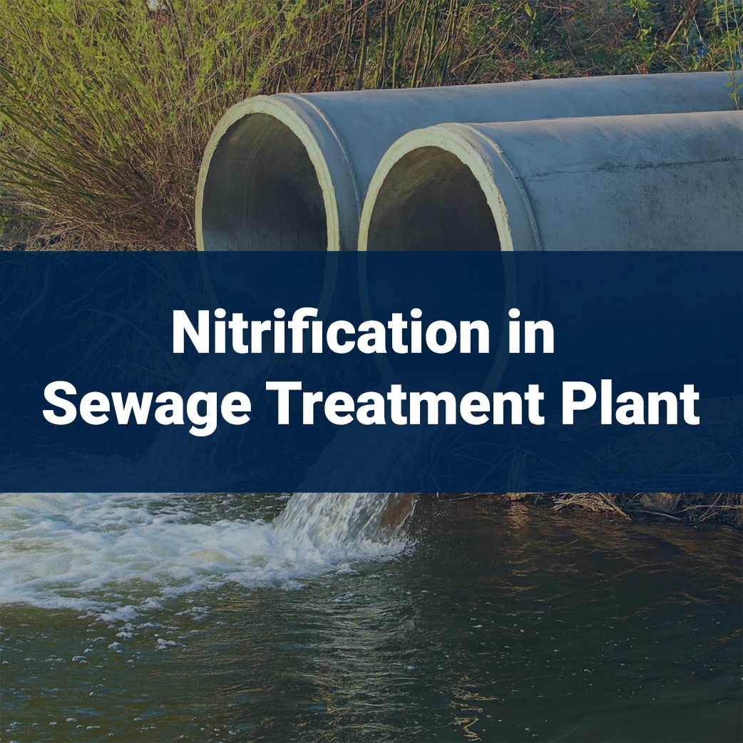 nitrifiaction in a sewage treatment plant