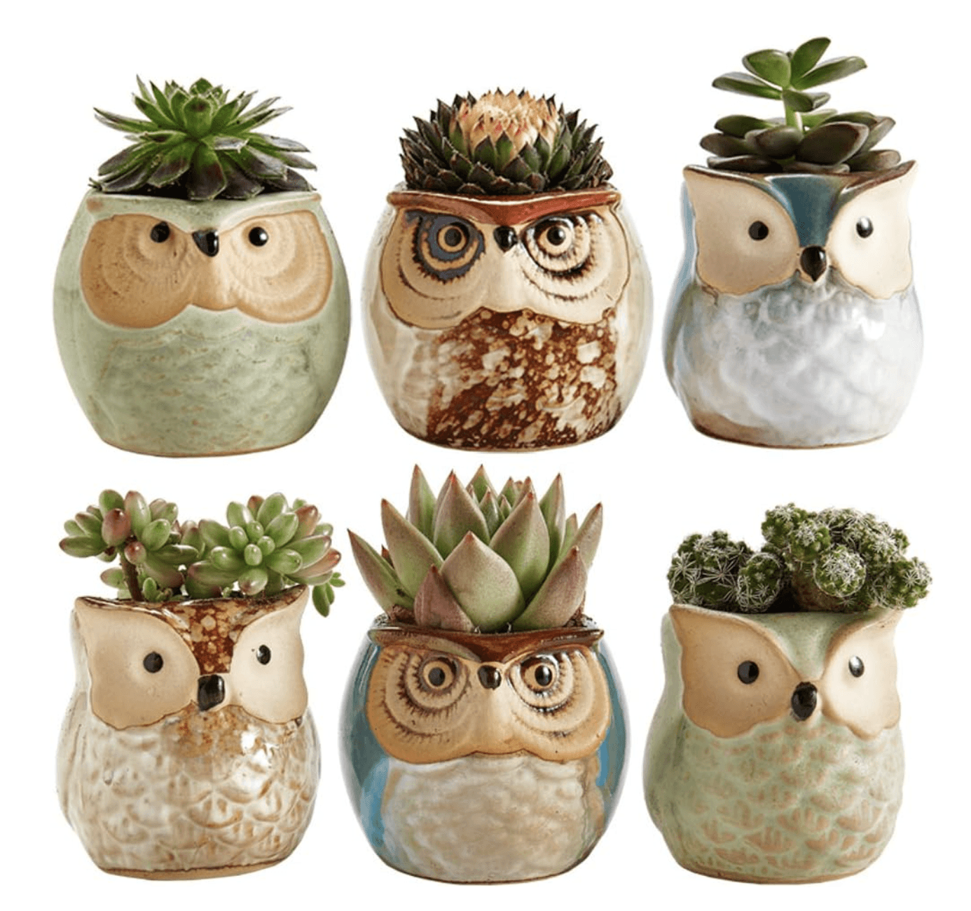 6 Ceramic Owl Pot Plants