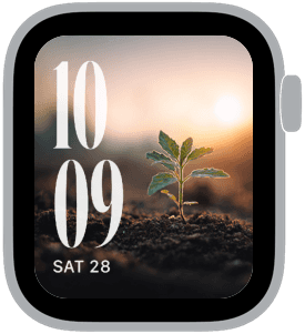 mustard seed Apple Watch face preview 5 featuring spring.