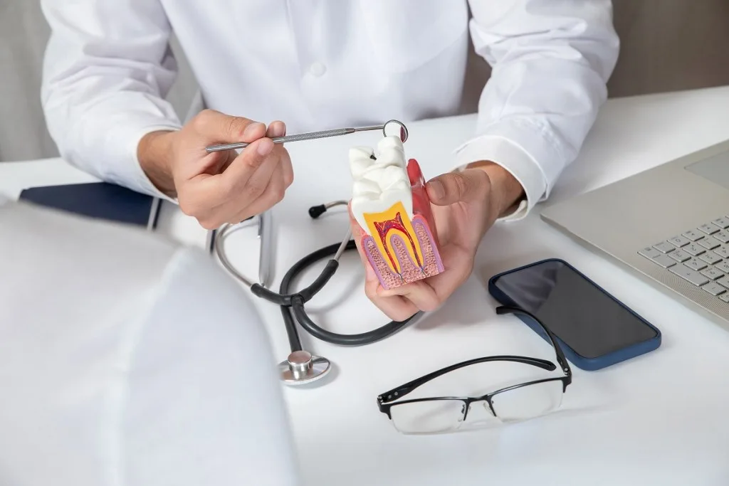 Dentist