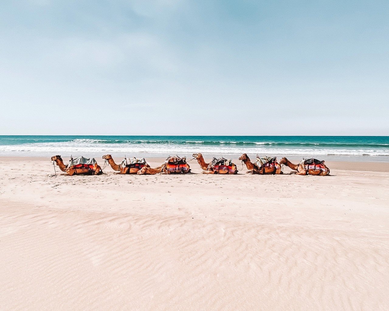 Fashion portrait photography