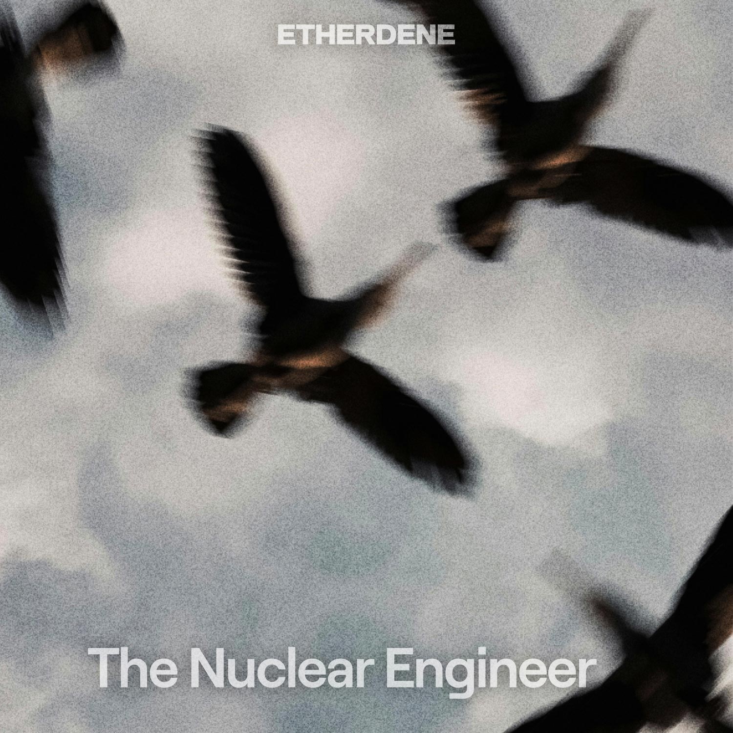 The Nuclear Engineer