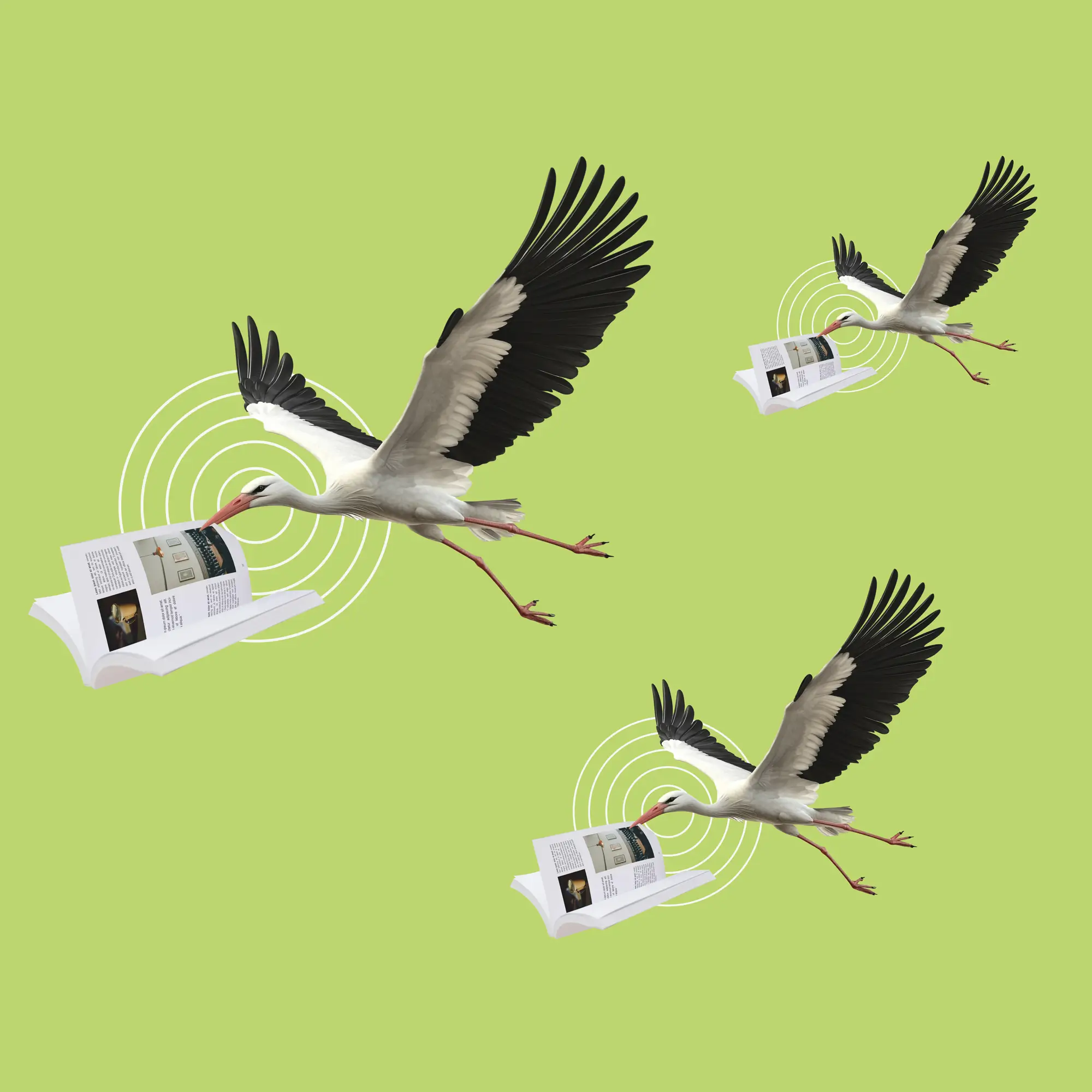 El manual corporativo explica cómo aplicar con criterio la identidad visual de una marca