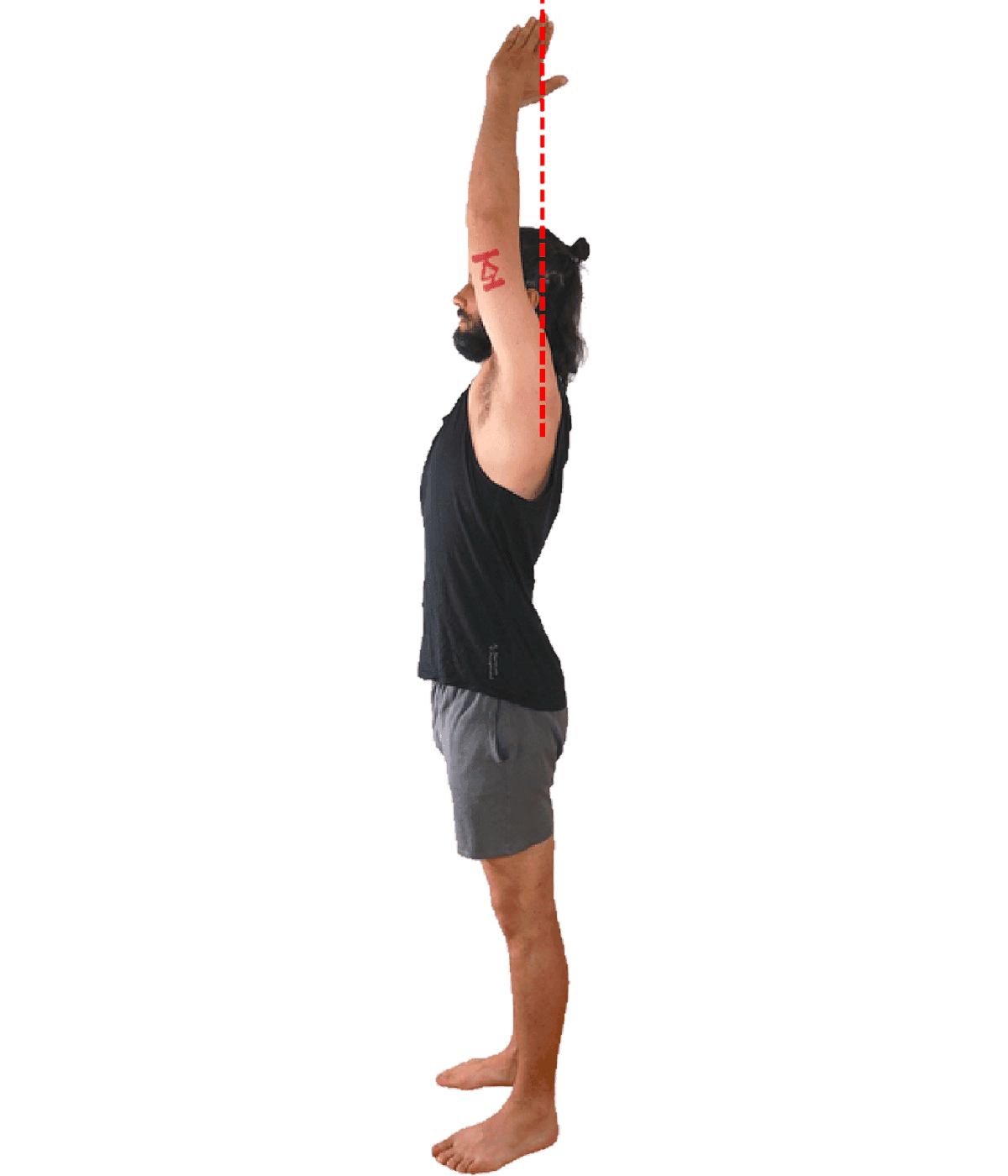 A standing figure in profile with the arms overhead and a red dashed vertical line running down through the arms, testing whether they reach perpendicular to the floor.