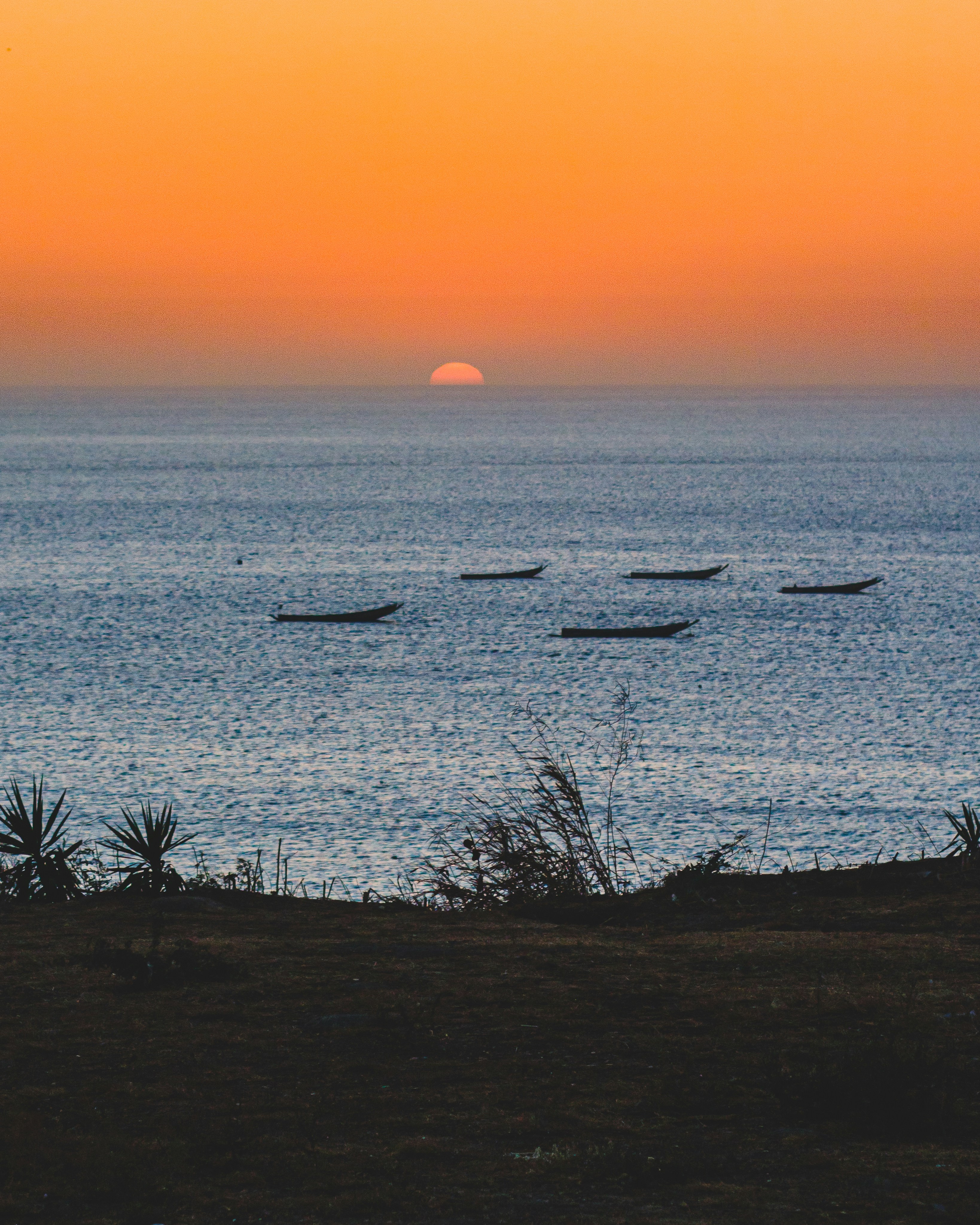 Dakar paysage politique de confidentialité