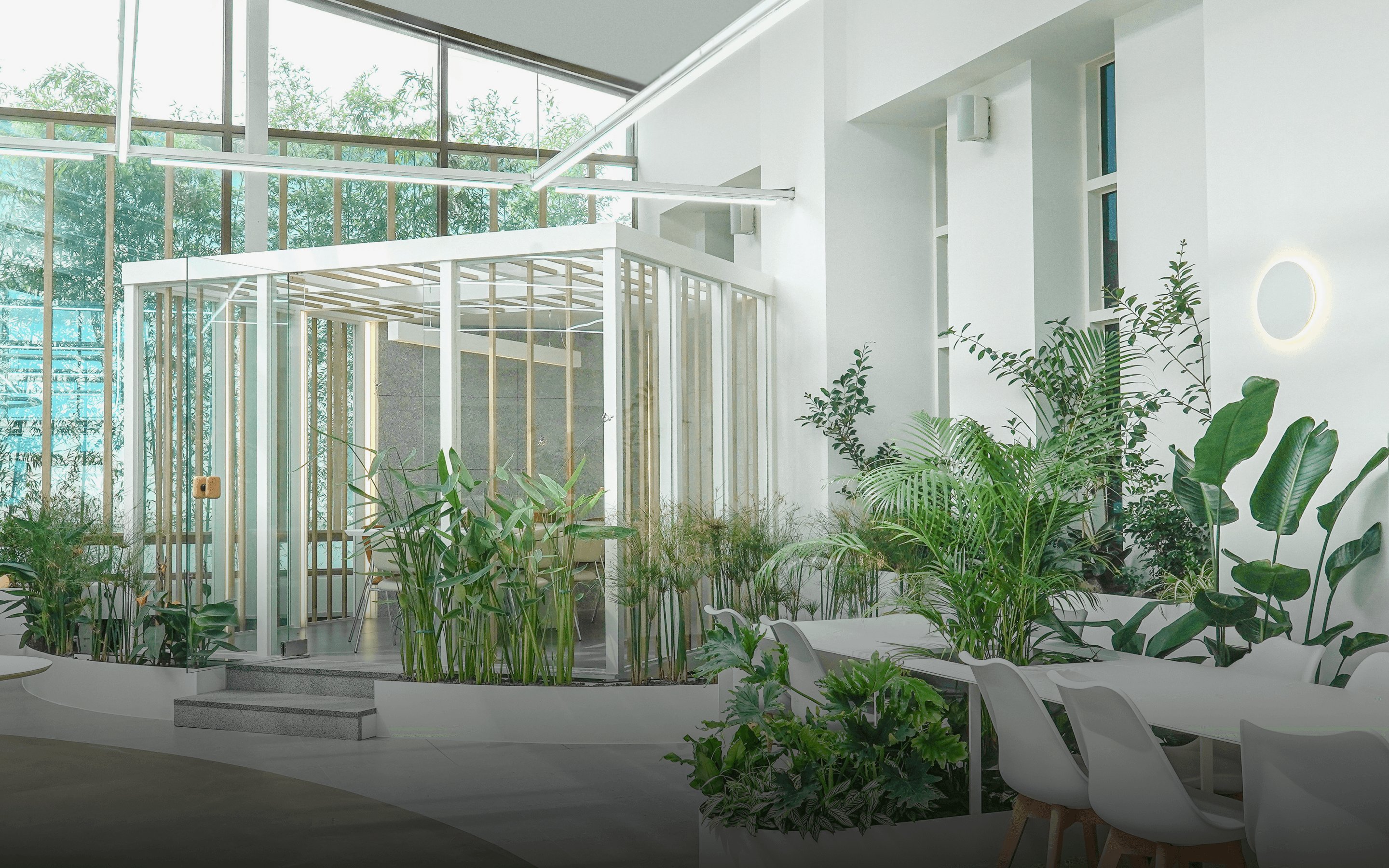 디자인에 특화된 플랜테리어 전문 기업 에코피플