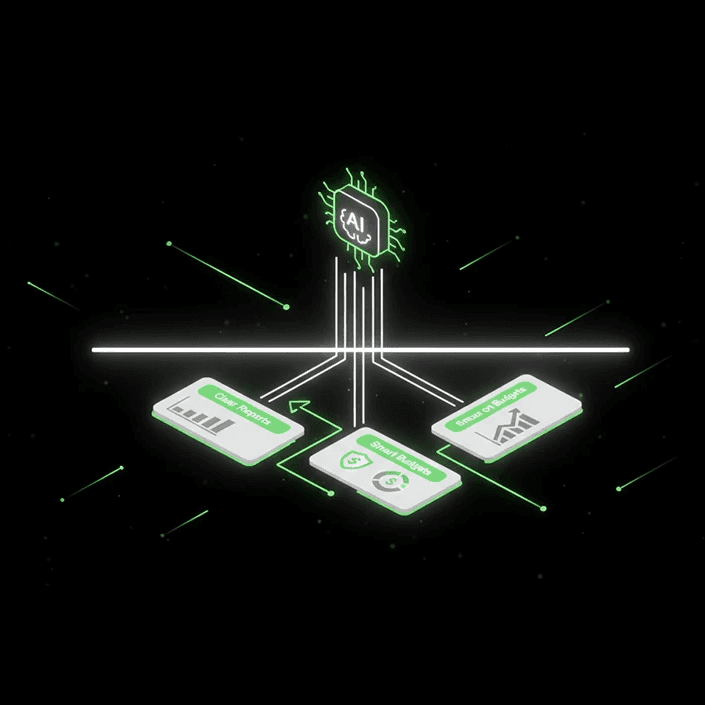 Daily limit card showing $2,500 spent, representing 12.5% of the total limit