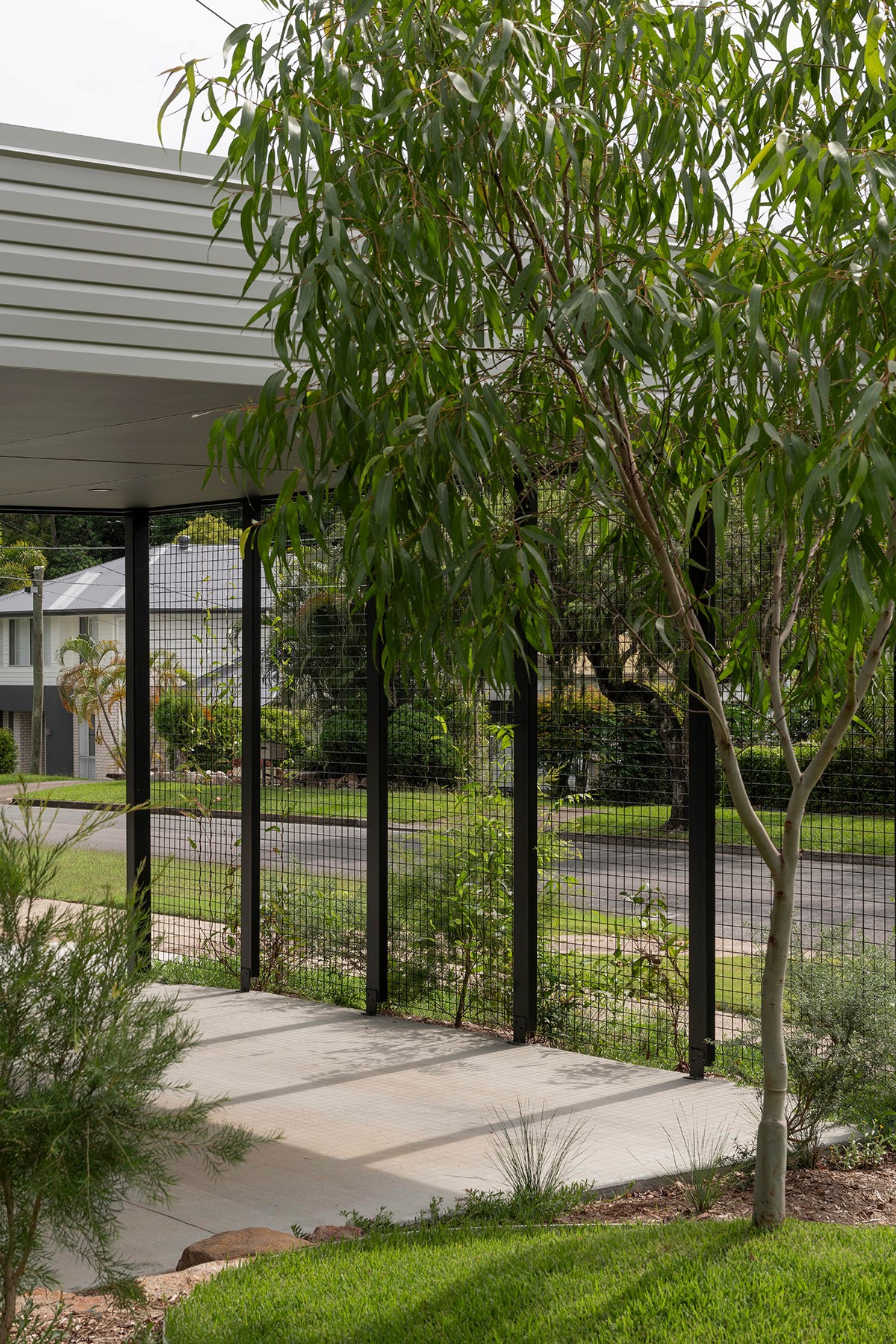 Entry landscape detail at Toohey Forest House with screened pavilion edge and native garden planting.