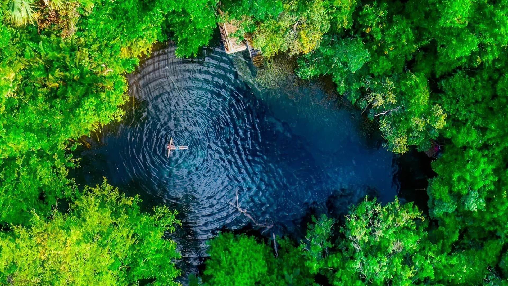 Aerial view of a person floating in a blue cenote surrounded by lush forest