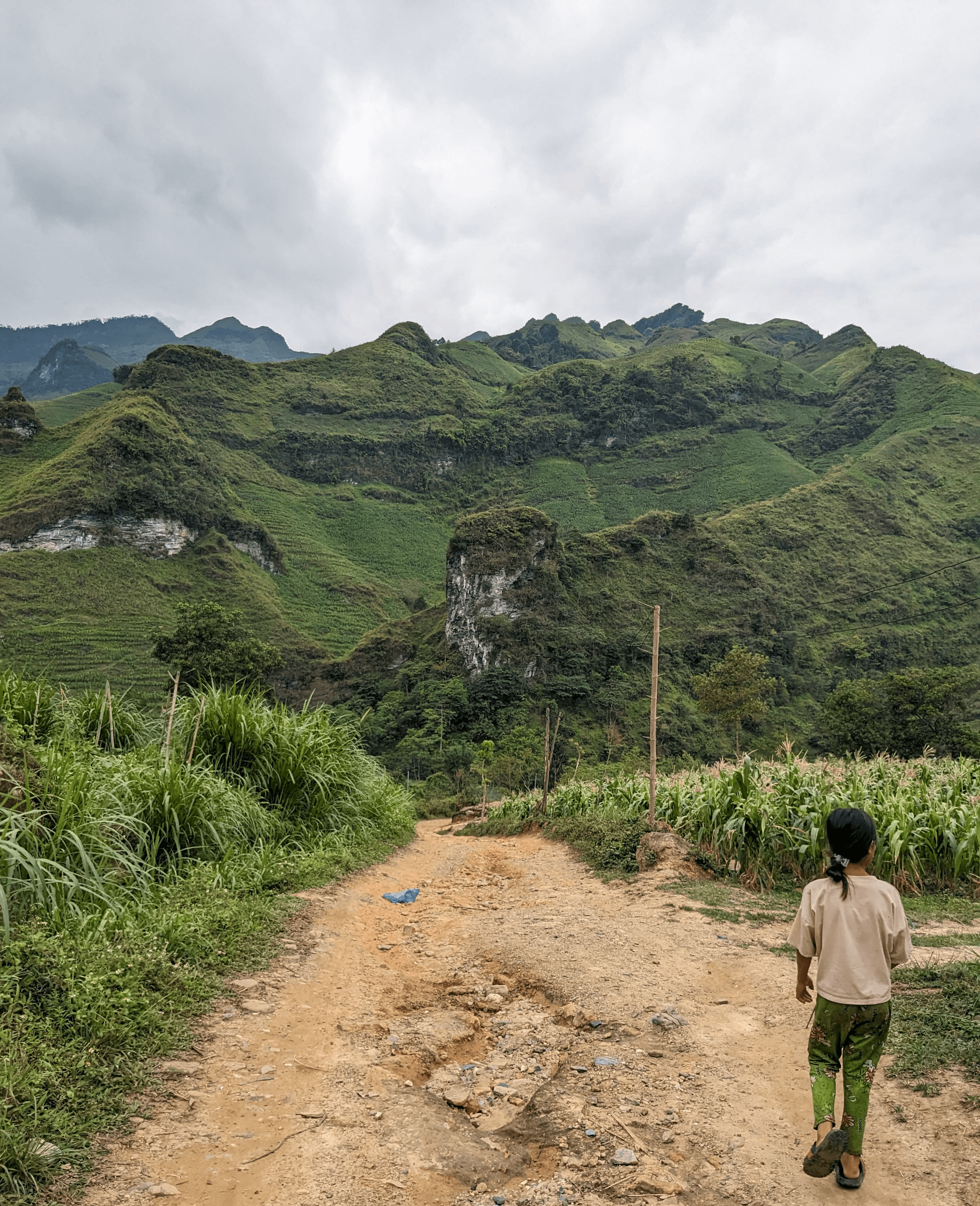 image of a child in a path through green valleys