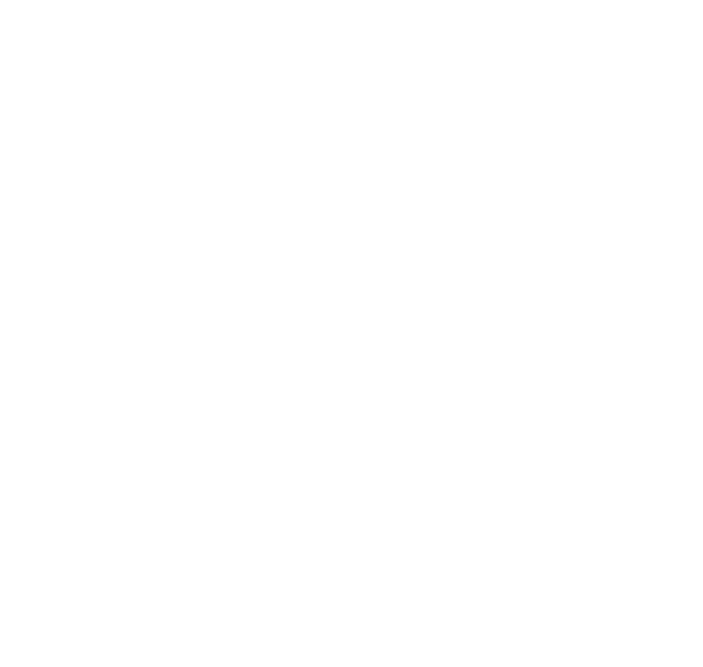 ZL Bookkeeping illustration of a bookkeeper at a desk reviewing business finances on a computer and phone
