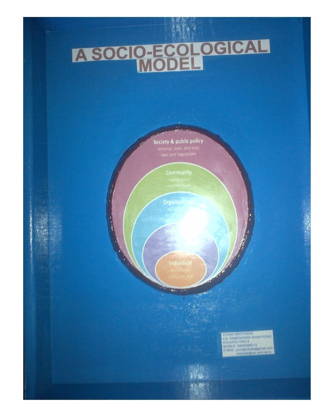 Socio-Ecological Model
