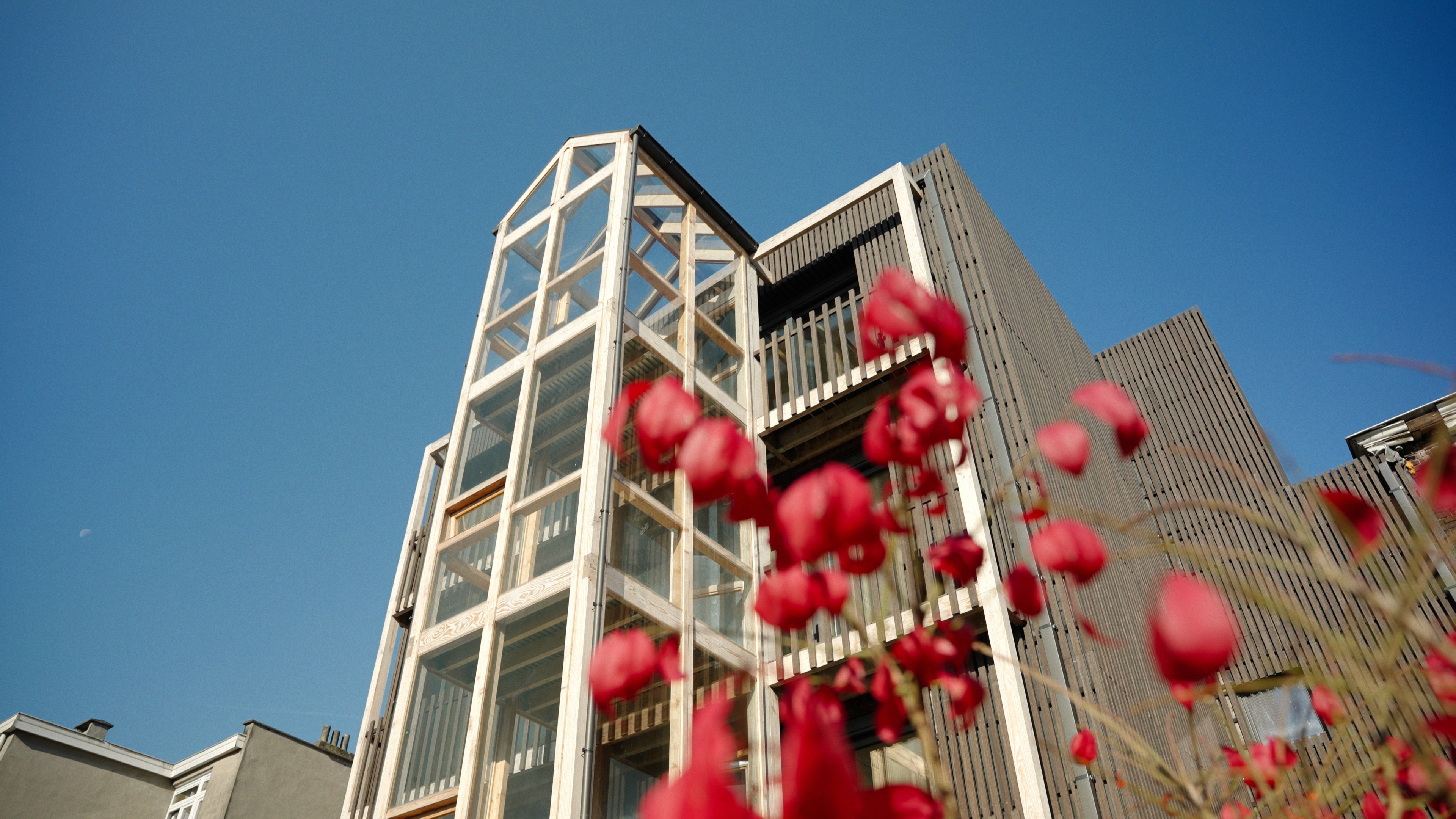 Façade from below from a modern building with blue sky with red flowers in the foreground