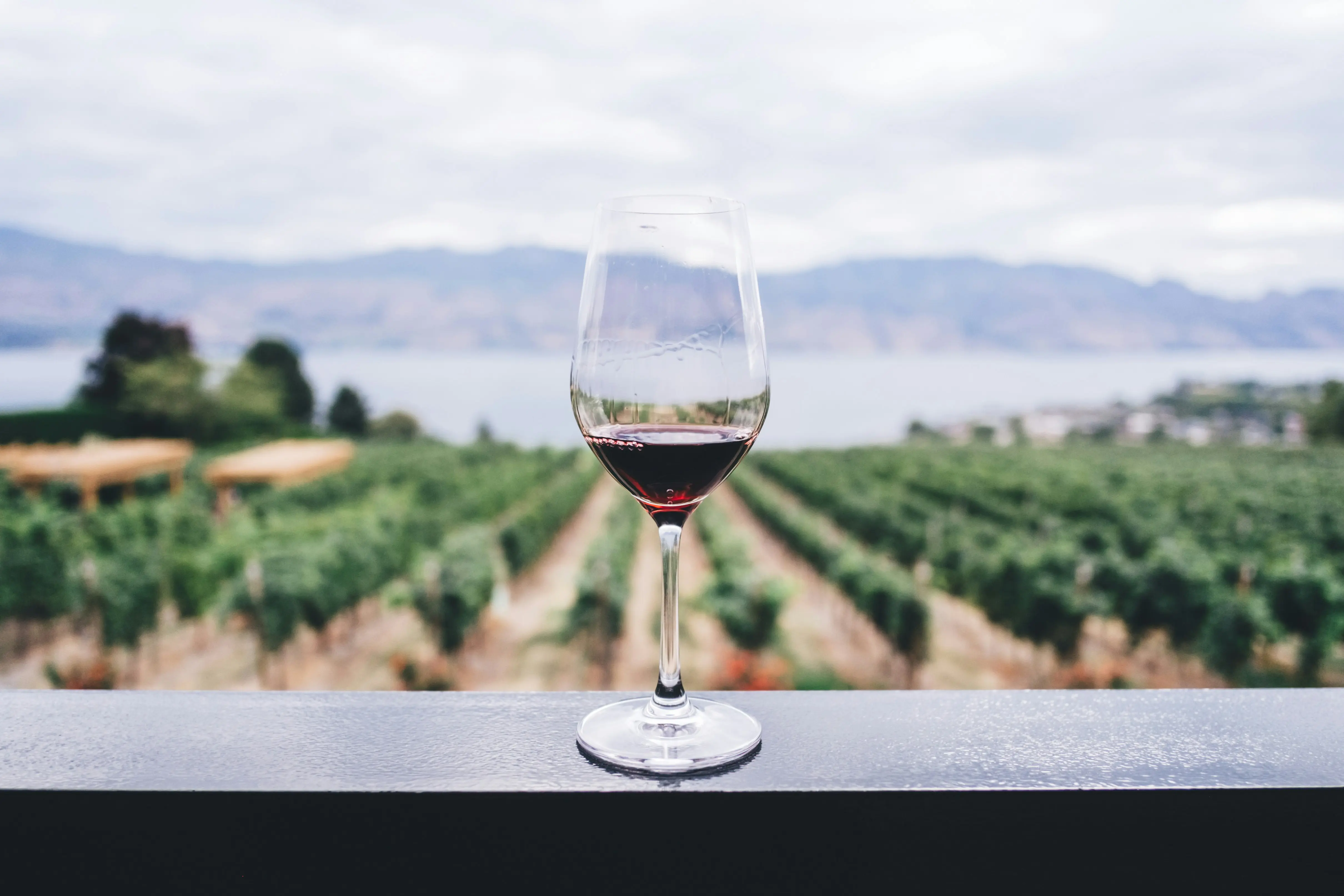 glass of red wine sits on a shelf in front of a vineyard